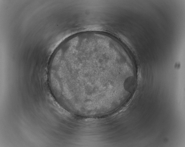 X0000111241212200907161332