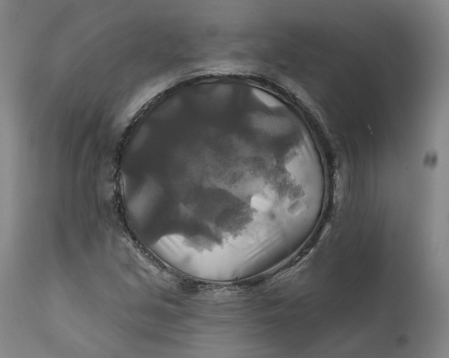 X0000111241213200907161332