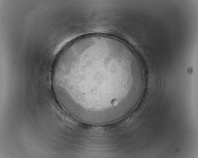 X0000111241214200907161332