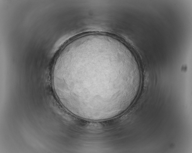 X0000111241215200907161332