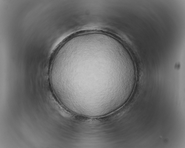 X0000111241216200907161333