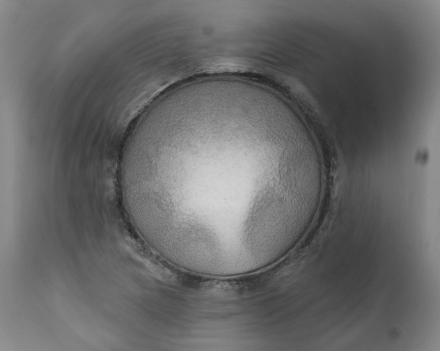 X0000111241217200907161333