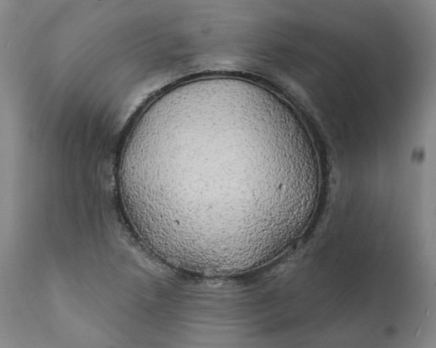 X0000111241218200907161333