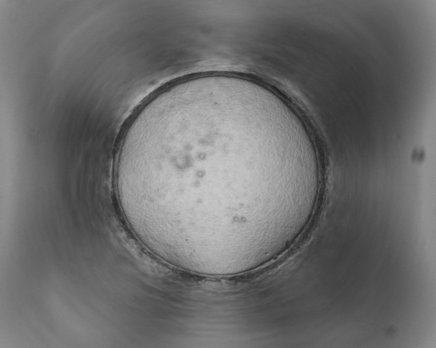 X0000111241220200907161333