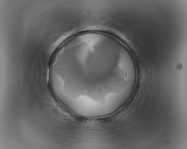 X0000111241221200907161333