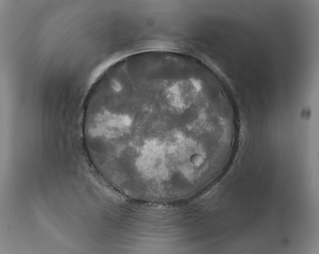 X0000111241222200907161333