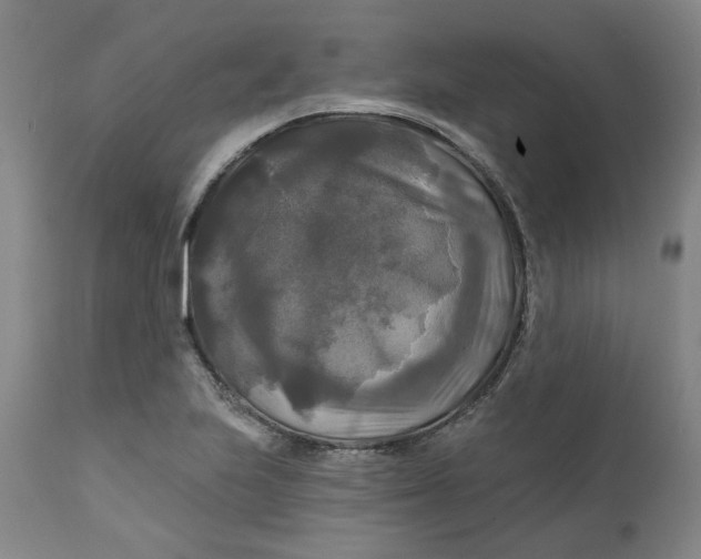 X0000111241223200907161333