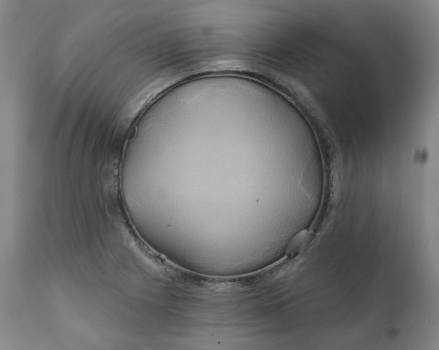 X0000111241225200907161333