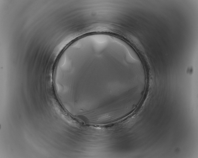 X0000111241226200907161333