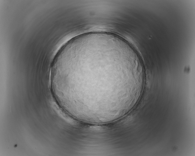 X0000111241227200907161333