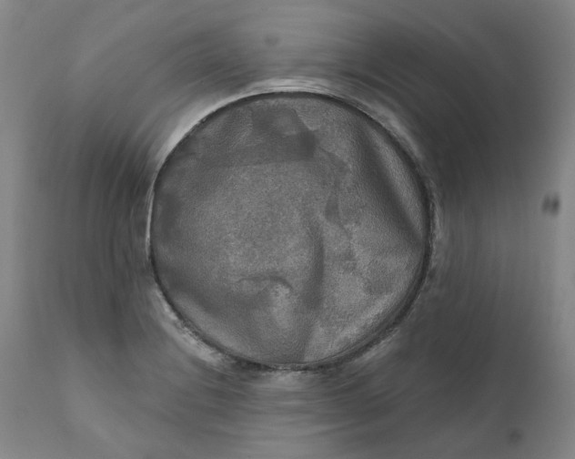 X0000111241228200907161333