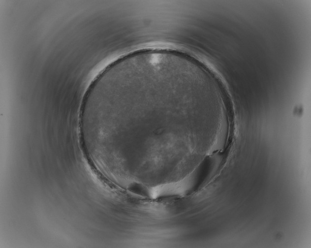 X0000111241229200907161333