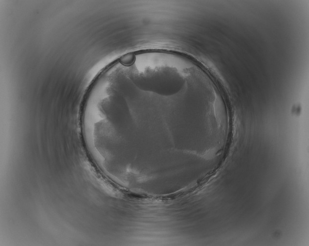 X0000111241230200907161333