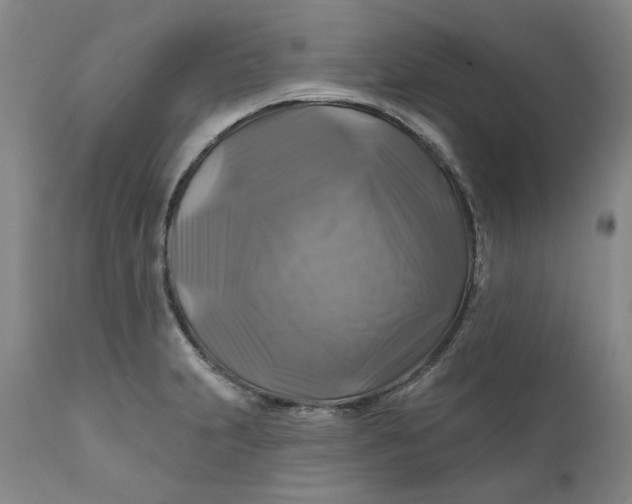 X0000111241231200907161333