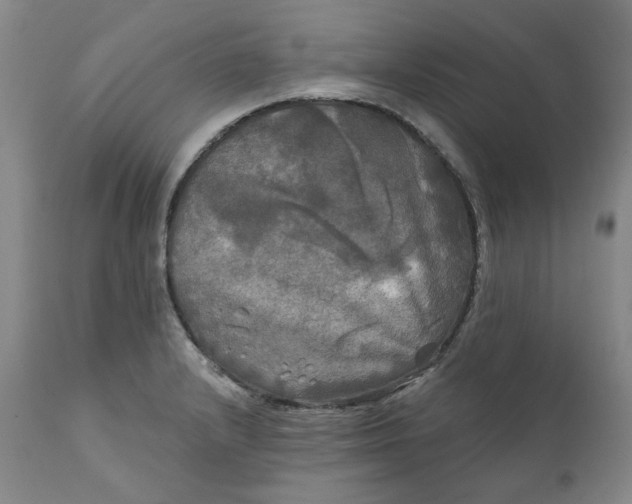 X0000111241232200907161333