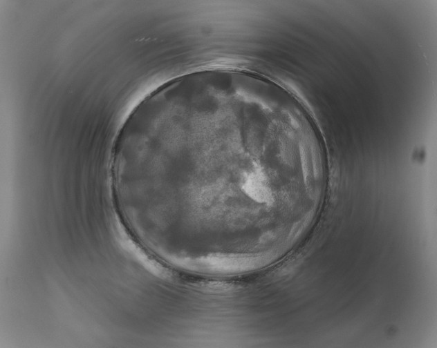 X0000111241235200907161333