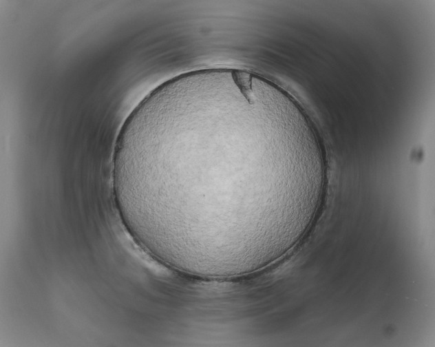 X0000111241236200907161333