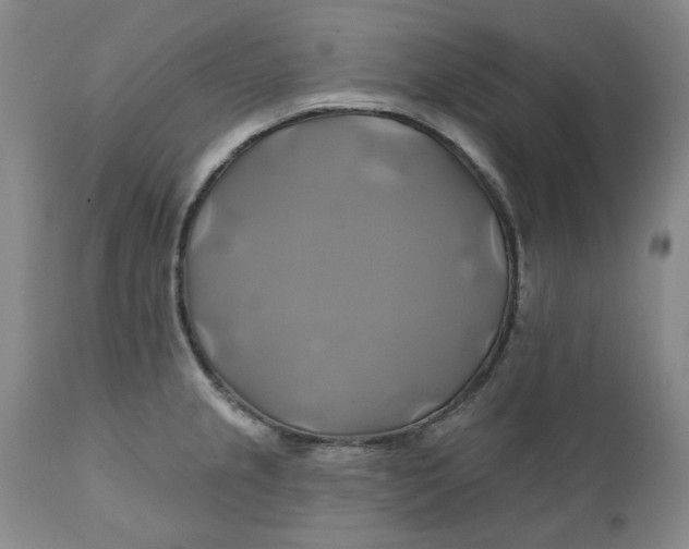 X0000111241237200907161333