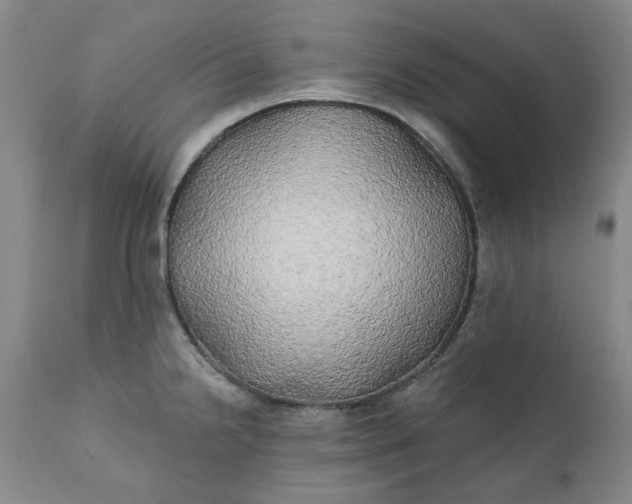 X0000111241238200907161333