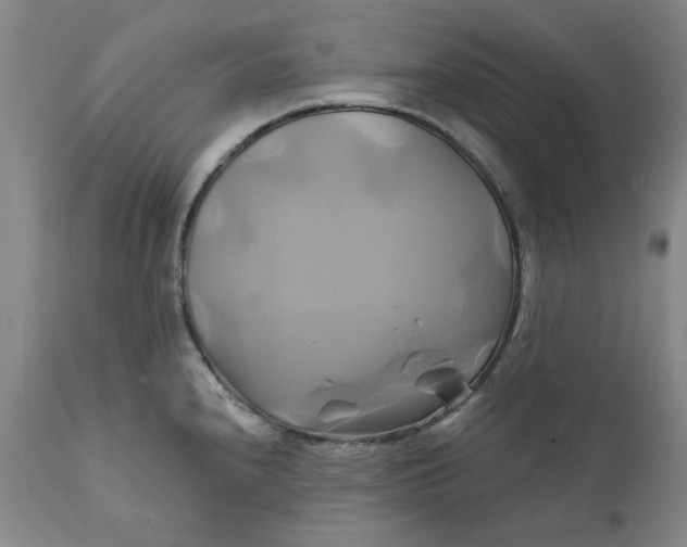 X0000111241240200907161333