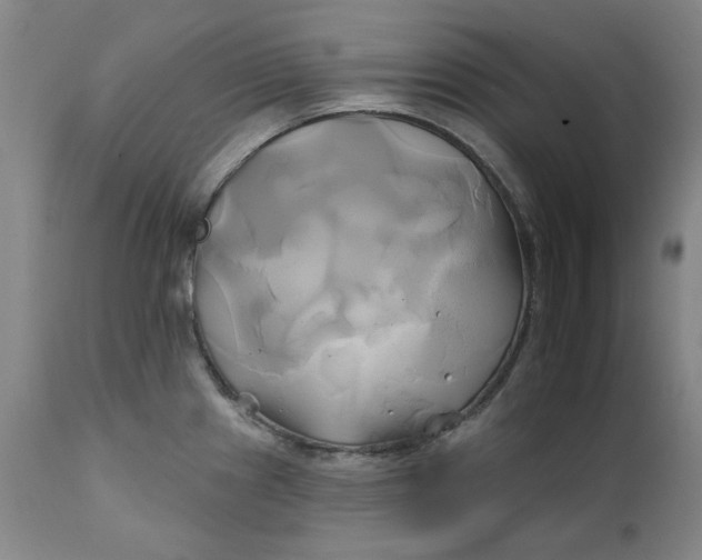 X0000111241241200907161333