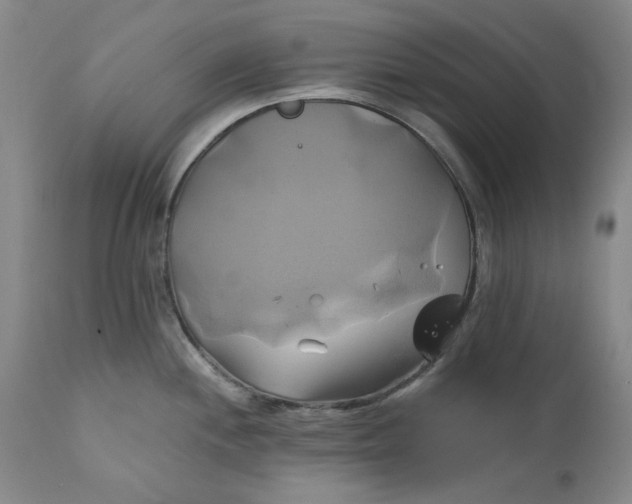 X0000111241244200907161333