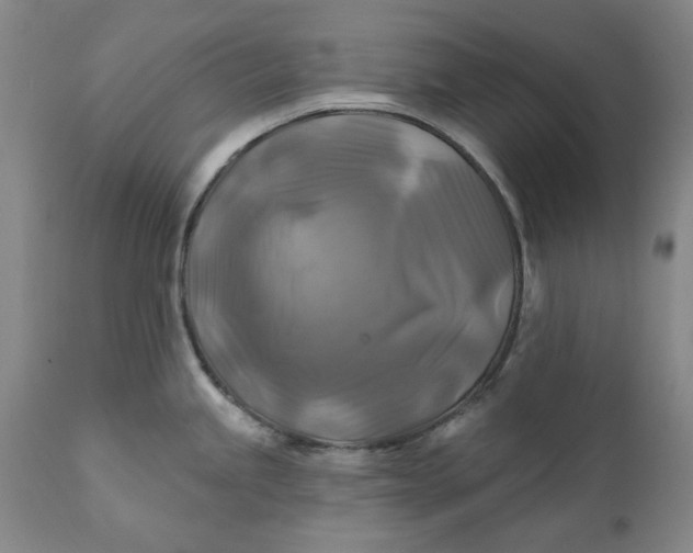 X0000111241245200907161333