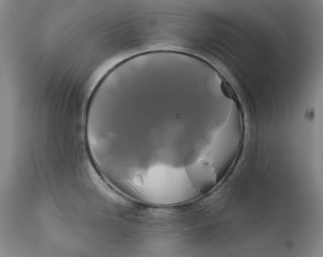 X0000111241246200907161333