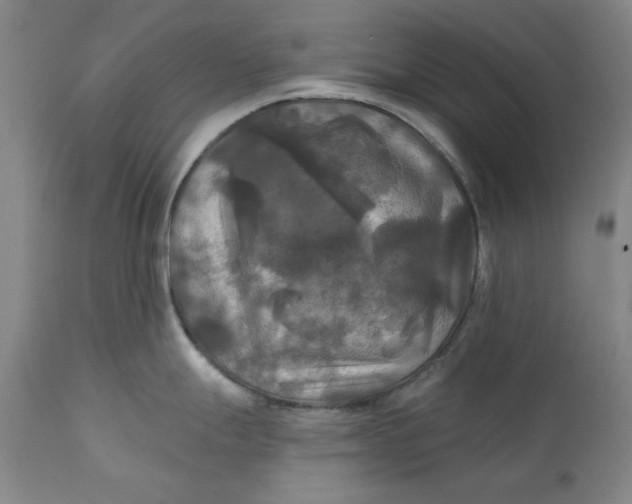 X0000111241247200907161333