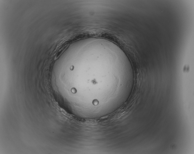 X0000111241249200907161332