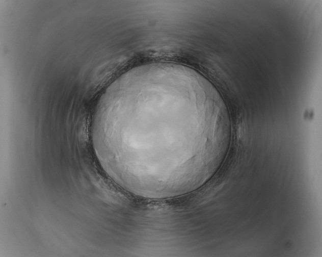 X0000111241250200907161332