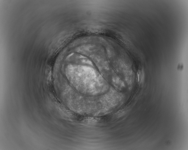 X0000111241251200907161332