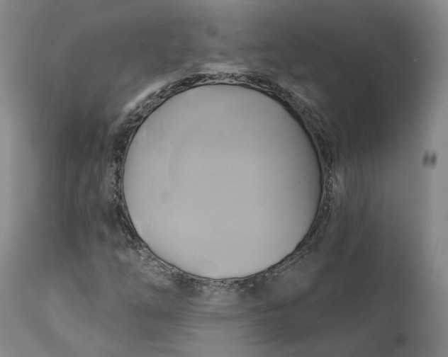 X0000111241254200907161332