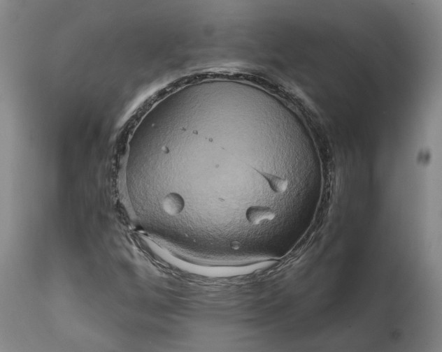 X0000111241256200907161332