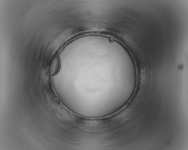 X0000111241257200907161332