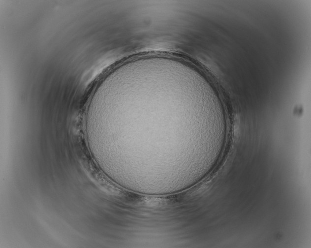 X0000111241258200907161332