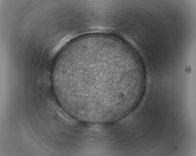 X0000111241259200907161332