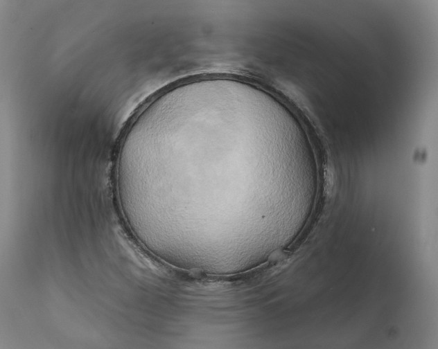 X0000111241260200907161332