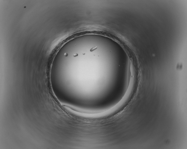 X0000111241261200907161332