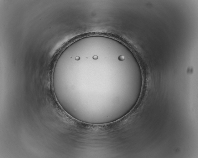 X0000111241262200907161332