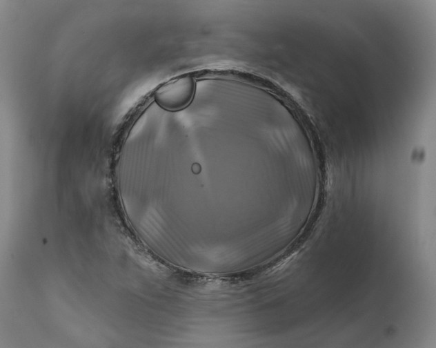 X0000111241263200907161332