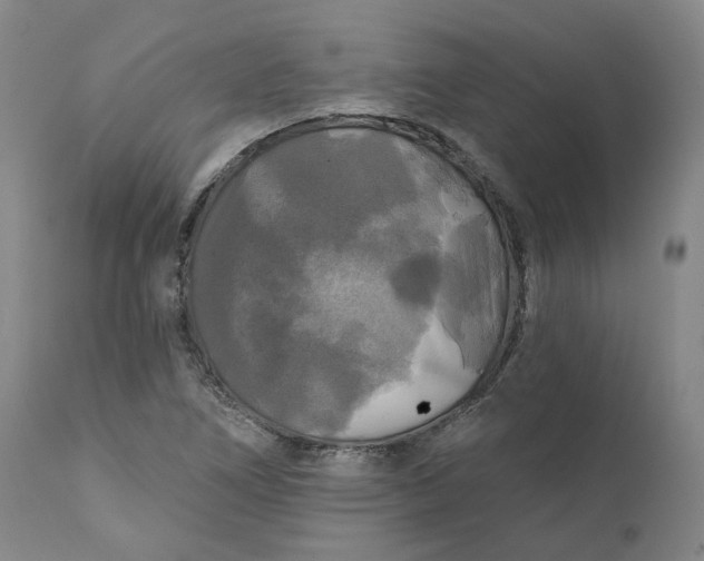 X0000111241266200907161332