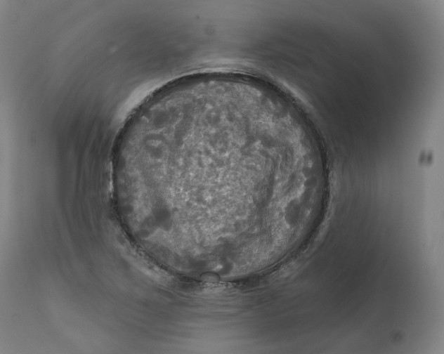 X0000111241267200907161332