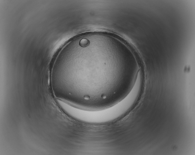 X0000111241269200907161332