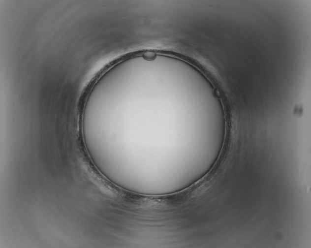 X0000111241270200907161332