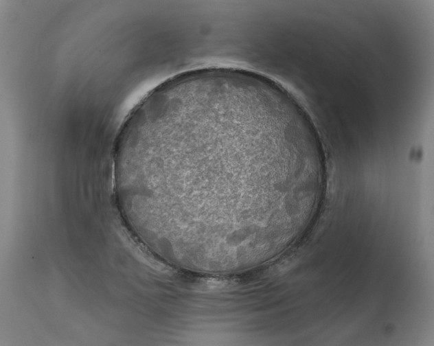 X0000111241271200907161332