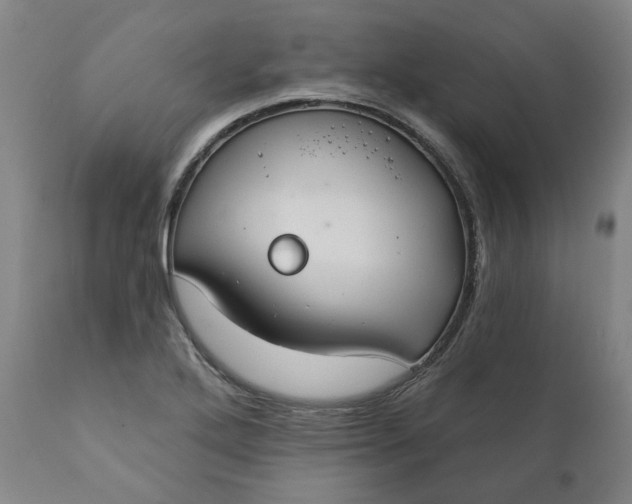 X0000111241272200907161332