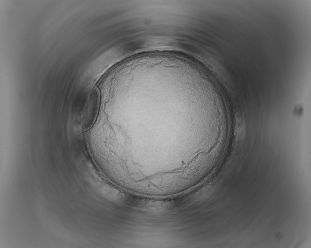 X0000111241273200907161332