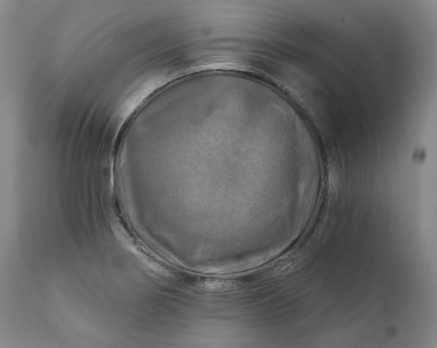 X0000111241274200907161332