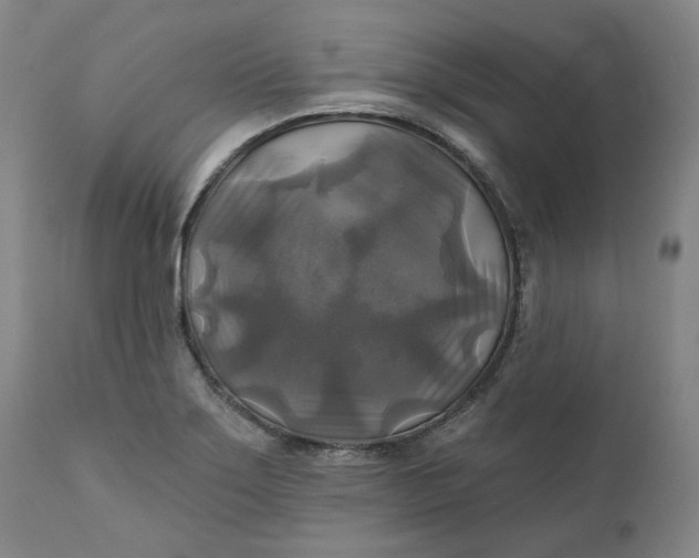 X0000111241275200907161332